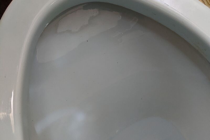 PXL_20220308_032445485